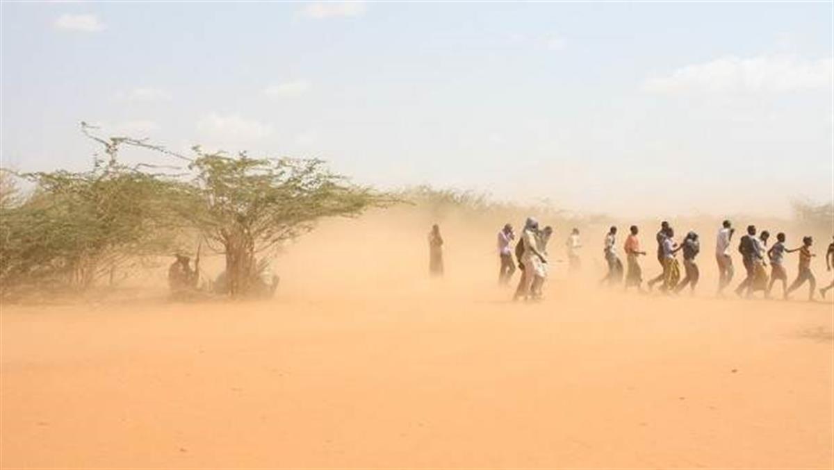 Dadaab Arrival 620