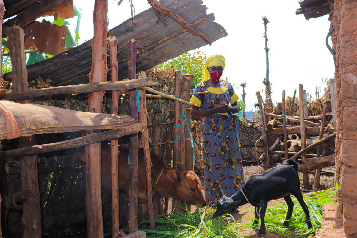 Distance support in Rwanda: from one family to the whole community ...