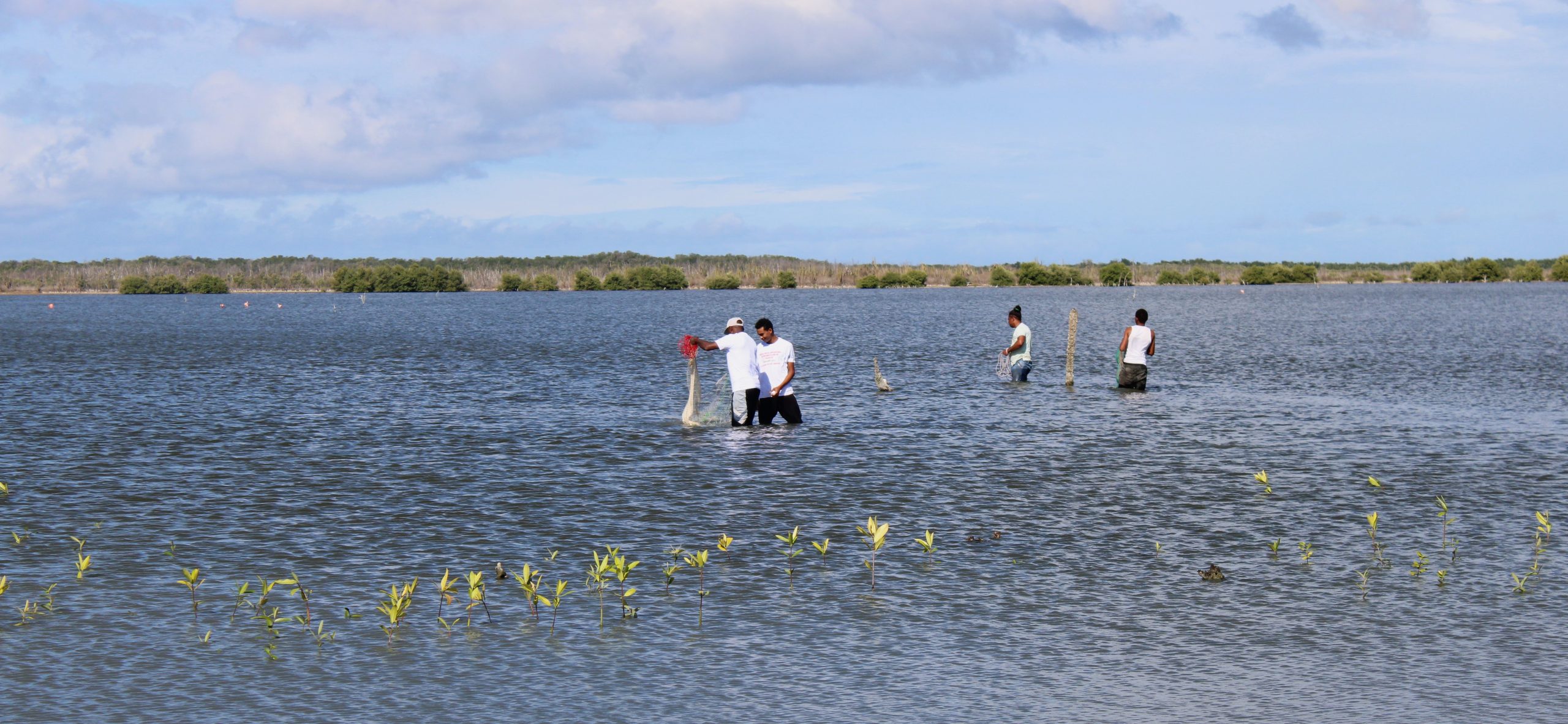 AVSI_repubblica dominicana_tutela mangrovie