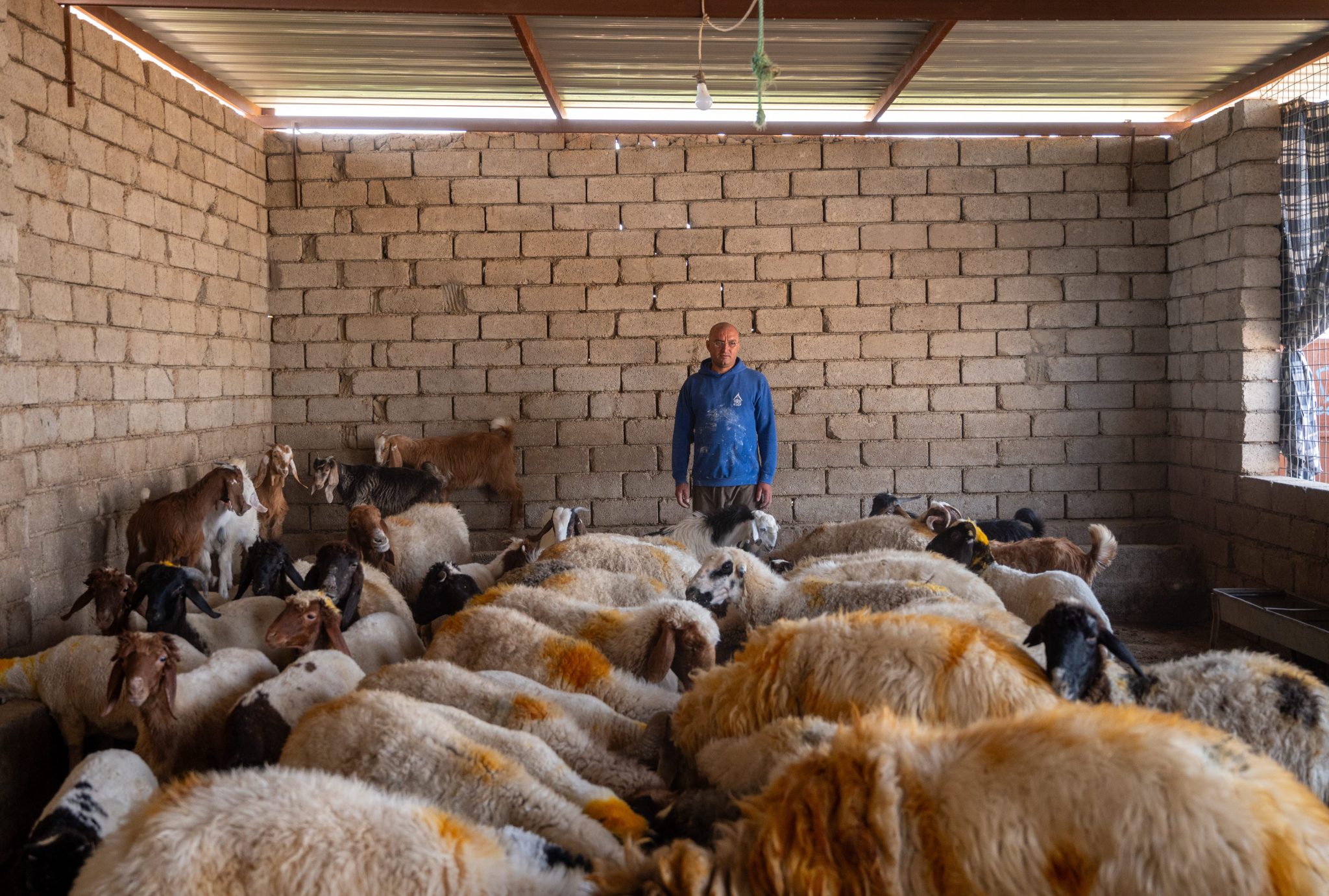 AVSI's Impact: Rebuilding Lives and Communities in Post-Conflict Iraq