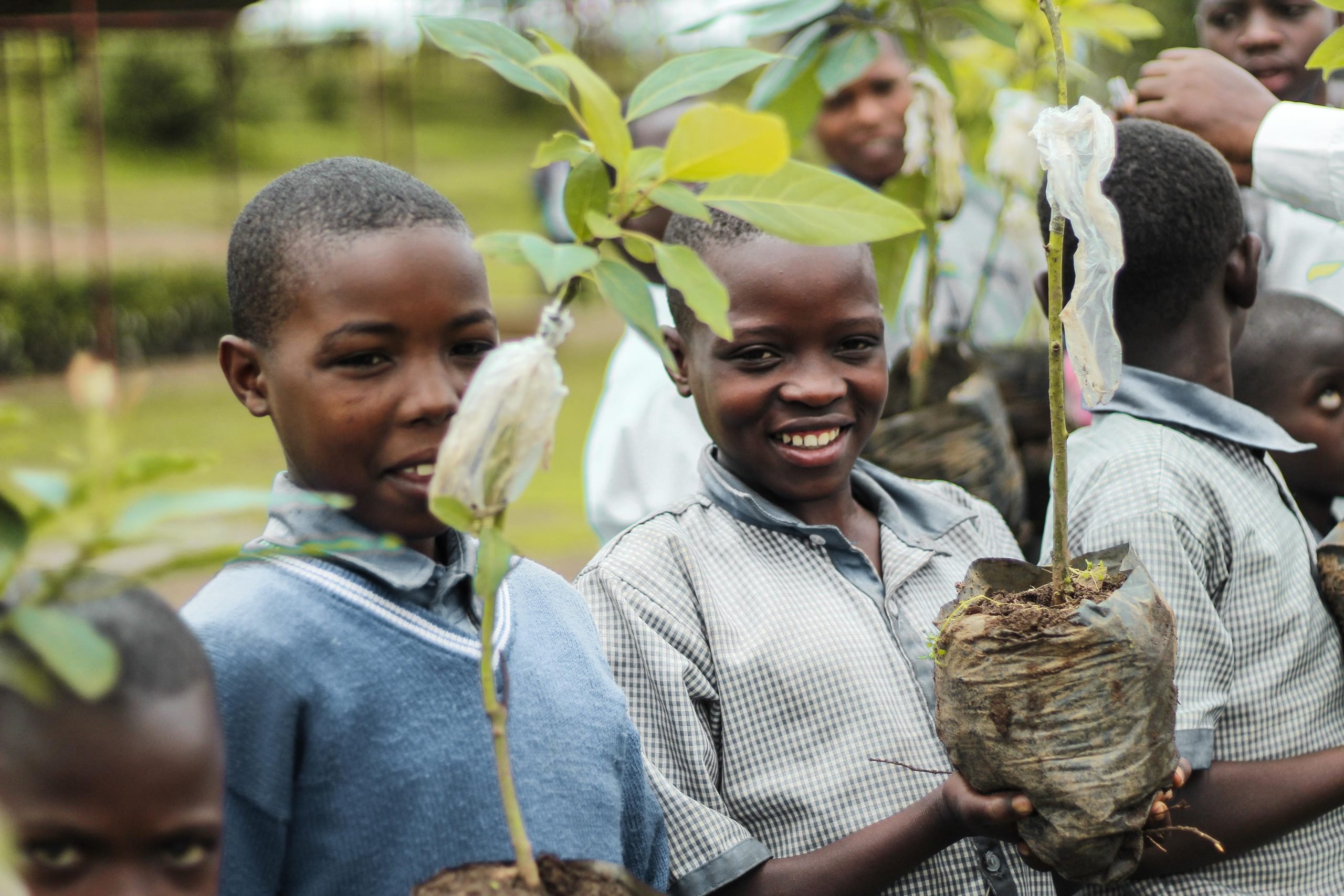 educazione alla sostenibilità_ruanda