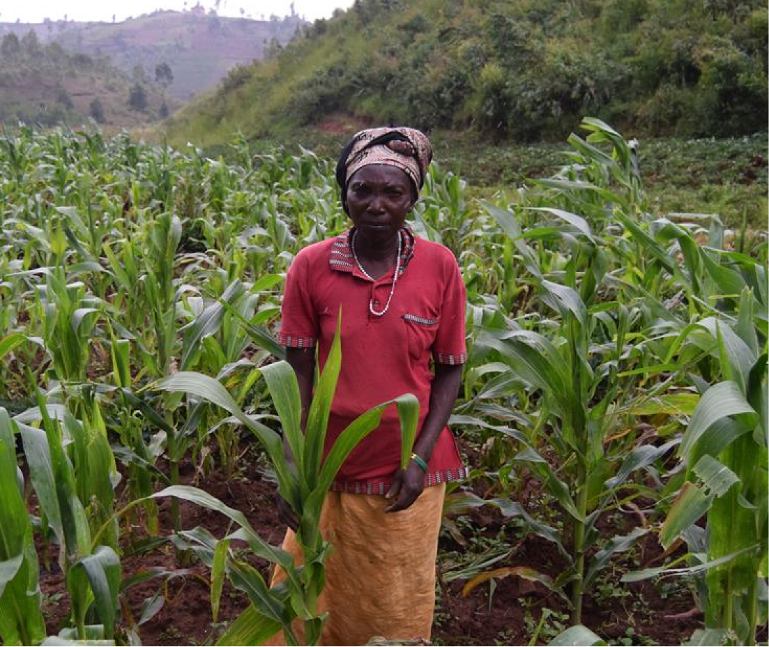 Una donna nel campo che coltiva in Burundi