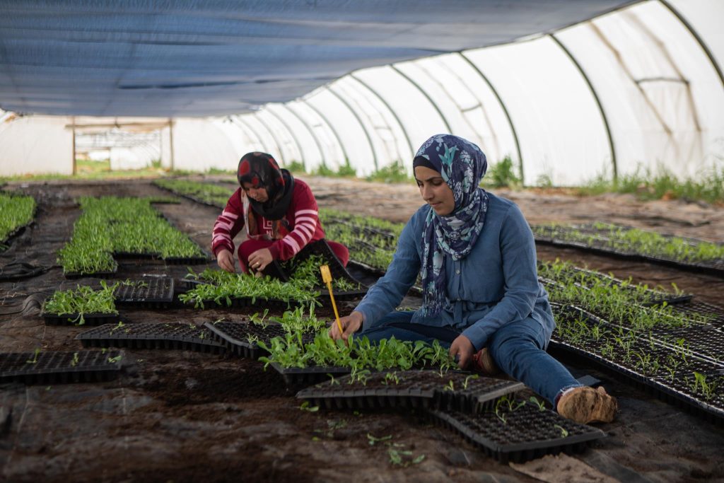 insicurezza alimentare libano - progetti avsi agricoltura